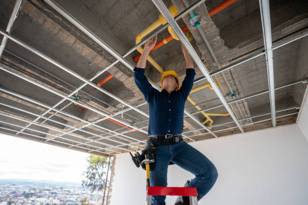 Best Toilet Repair Services  in Amador Pines, CA